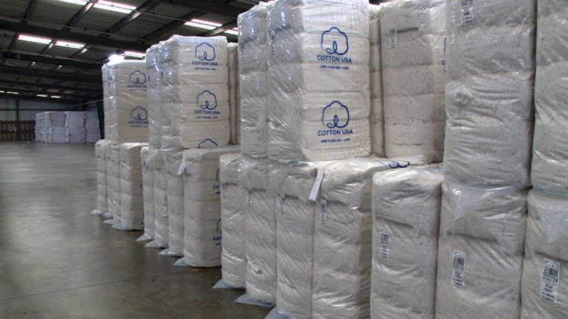 How to Buy Cotton – Cotton Market