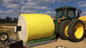 Agri-AFC: CROPLAN 3885 Cotton Seed