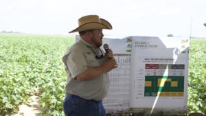 Improved Bollworm Management Expected in 2018