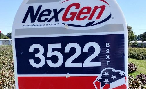 Growers Continue to Count on Americot and NexGen