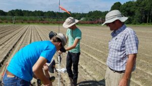 Soil Health Training to Supply Growing Demand for Sustainable Cotton