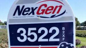 Americot Expands Research and Sales Teams