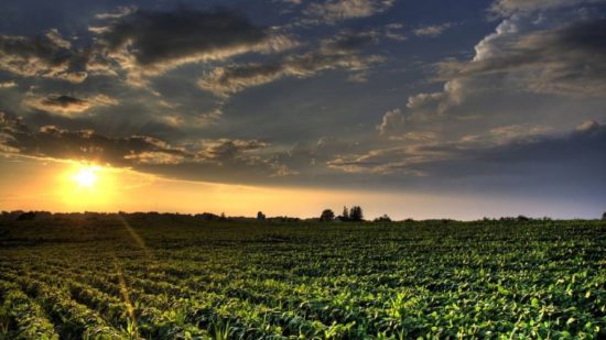 When and Why to Double Inoculate Your Soybeans