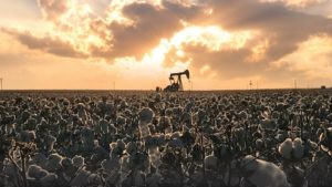 5 Reasons Why Agriculture is in Worse Shape Than You Think