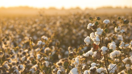 Giles: All Eyes on China