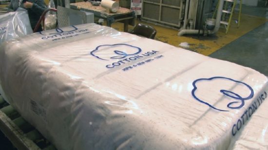 GenuTrace Launched to Redefine Supply Chain Transparency