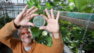 Purdue Study Maps Pathways for Improved Cotton Quality