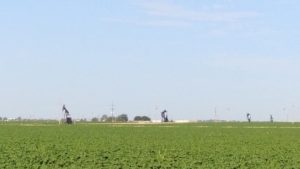 Simplot to Acquire Pinnacle Ag