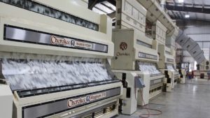 Gin Insurance: Good News, Challenges, How to Help