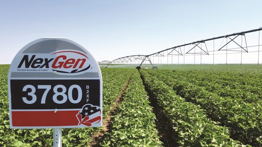 Americot Adds New Southwest and Southeast Team Members