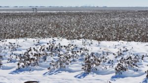 Extended Winter Weather Forecast for 2022-2023 Goes to the ‘Extreme’