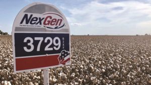 Grower Satisfaction, Geographic Fits Drive Americot Expansion