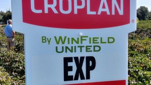 CROPLAN Cotton Varieties Continue to Gain Ground