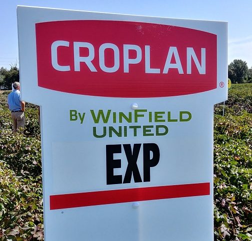 CROPLAN Cotton Varieties Continue to Gain Ground