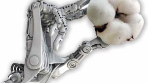 Exploring Ag Robotics’ Potential – and Challenges