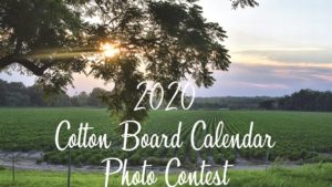 Cotton Board Begins 2020 Calendar Photo Contest