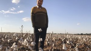 Opinion: China, Hot Summer Days and Cotton Demand