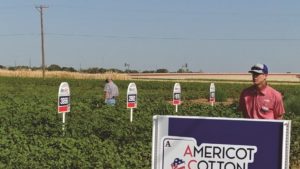 Americot Expands Regional ACE Trials Program for 2020