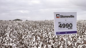 BASF Adapts FiberMax and Stoneville to Fit Market Challenges