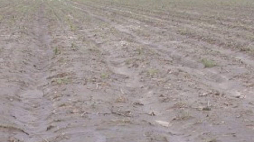 USDA: Changes Coming to Improve Prevented Planting Coverage