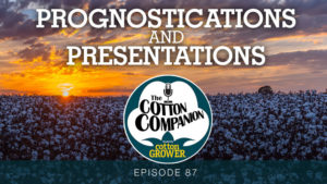 Prognostications and Presentations