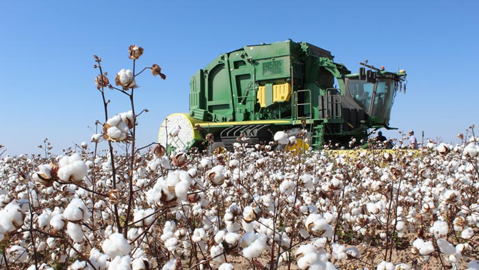 Crop Progress: Another 10 Percent Gain in Cotton Harvest - Cotton Grower