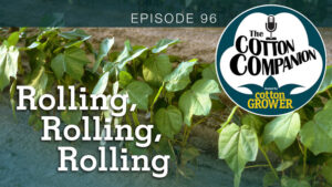 Rolling, Rolling, Rolling