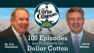 Reflecting on 100 Episodes and Prospects for Dollar Cotton