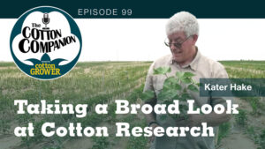 Taking a Broad Look at Cotton Research