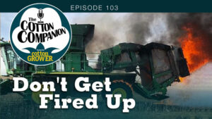 Don’t Get Fired Up