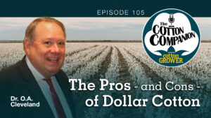 Cotton Companion Podcast: The Pros – and Cons – of Dollar Cotton