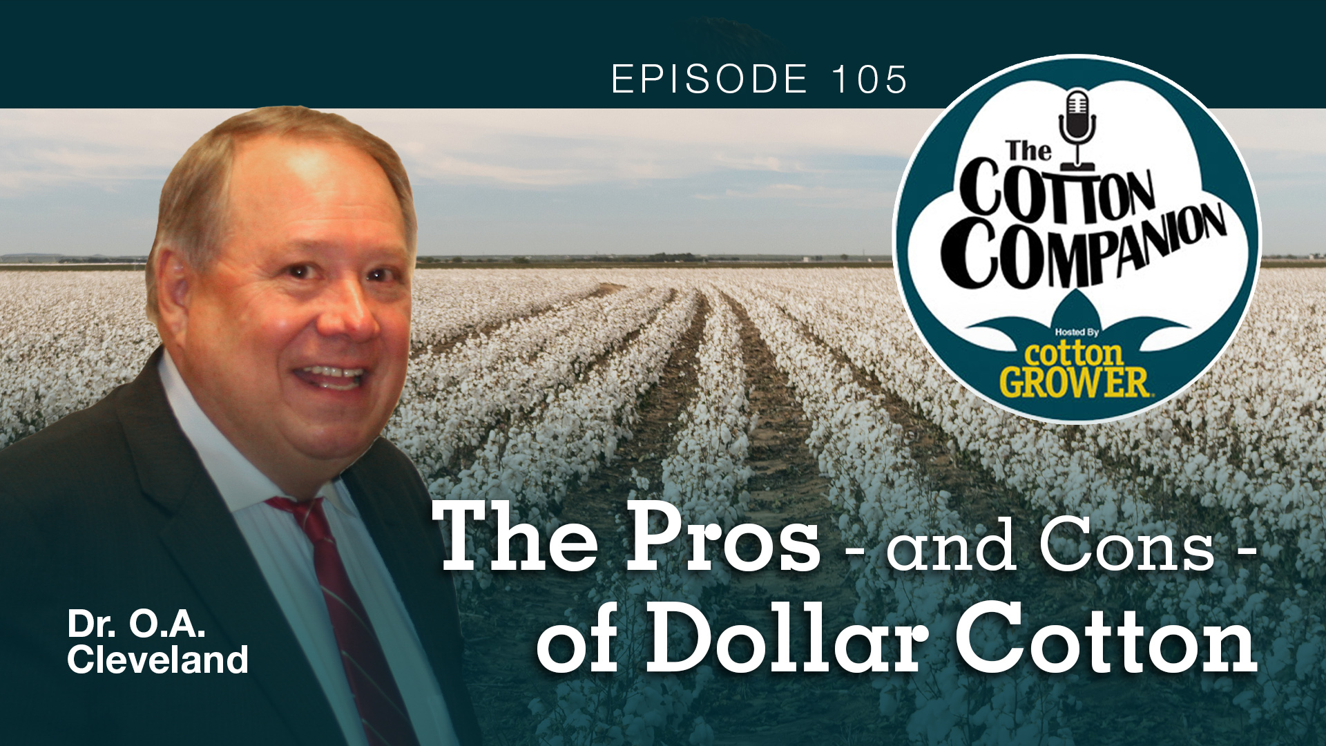 Cotton Companion Podcast The Pros and Cons of Dollar Cotton
