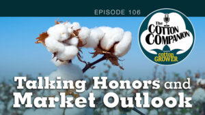 Cotton Companion Podcast: Talking Honors and Market Outlook
