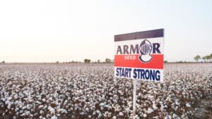 Positive Growth Continues for Armor in Cotton