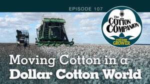 Cotton Companion Podcast: Moving Cotton in a Dollar Cotton World