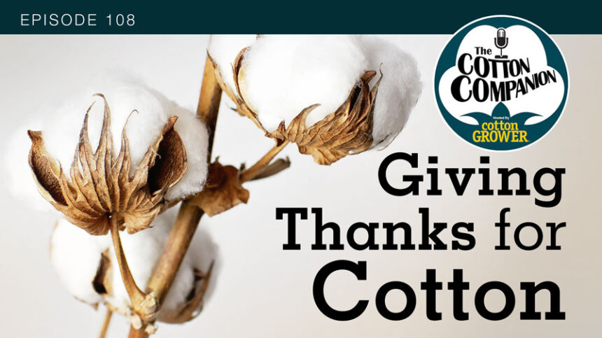 Cotton Companion Podcast: Giving Thanks for Cotton
