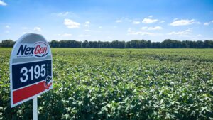 Americot Adds Four to Southern Sales Team