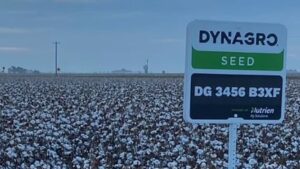 Dyna-Gro Widens Bollgard 3 Collection