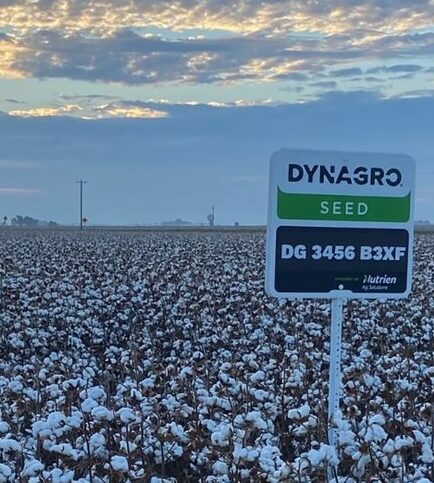 Dyna-Gro Starting to Realize Its Cotton Potential