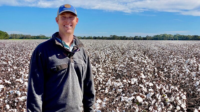 Prospect of delayed cotton sowing unnerves farmers - Business