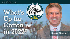 Cotton Companion Podcast: What’s Up for Cotton in 2022?