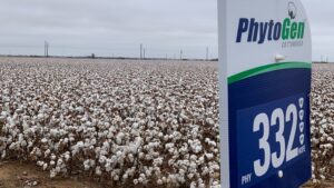 Cotton and Soybean Producers Find a Smart Solution to a Shared