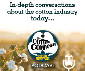 Cotton Grower - Dedicated Coverage and Reporting of the Cotton