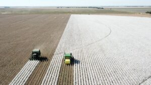 Cotton Picking Robots? - Cotton Grower