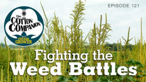 Fighting the Weed Battles