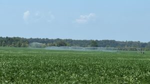 Critical Period in AR for Irrigators, Crops and Equipment