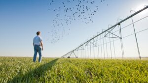 Daniel Munk, “Pivotal in Cotton Success” in CA, Retires after 36 Years