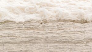 WHEN IT COMES TO SEED QUALITY, IT’S ALL ABOUT THE GROWERS