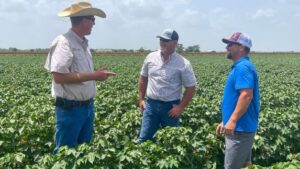 Farming Through the Drought in Southeast Texas
