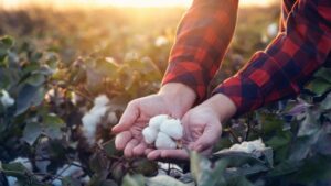 THREET HAS BEEN GOOD FOR STONEVILLE – AND VICE VERSA